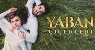 Yaban Cicekleri